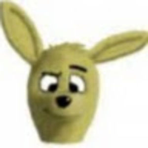 Meet your Posher, Amp's